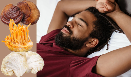 Top 3 Medicinal Mushrooms for Sleep