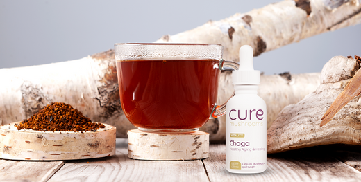 How to Make Chaga Mushroom Tea: Benefits and More!