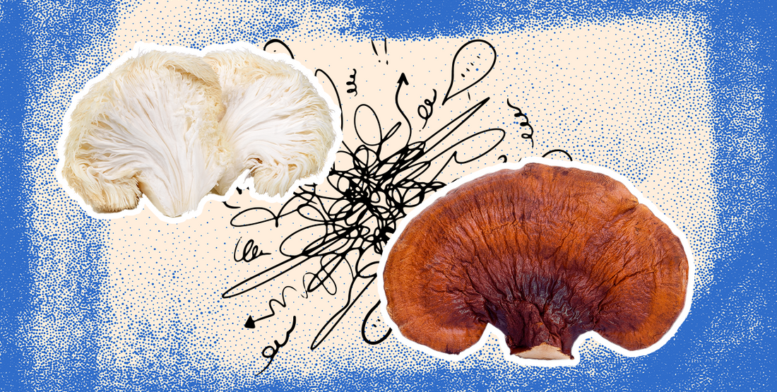 Try These 2 Mushrooms For Anxiety and How To Use Them