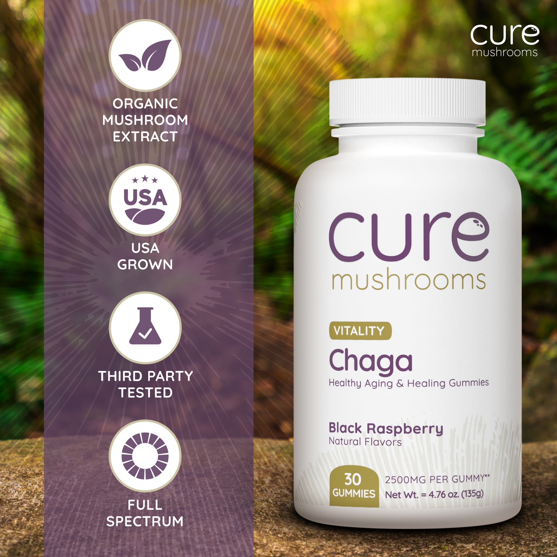 cure mushrooms black raspberry flavor chaga mushroom gummies