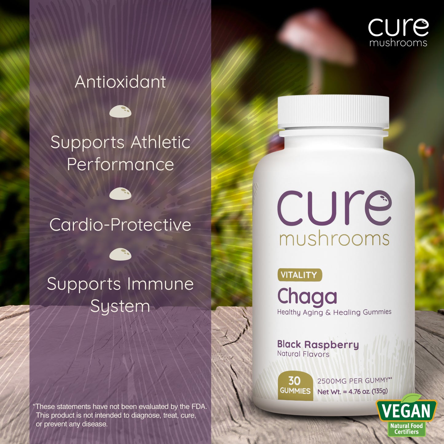 cure mushrooms black raspberry flavor chaga mushroom gummies